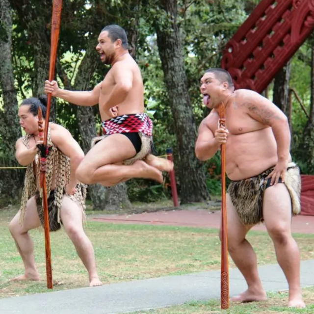 Māori Culture Experience