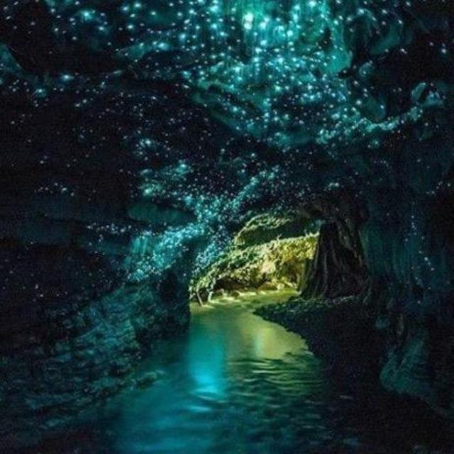 Back water tubing in a glow worm cave