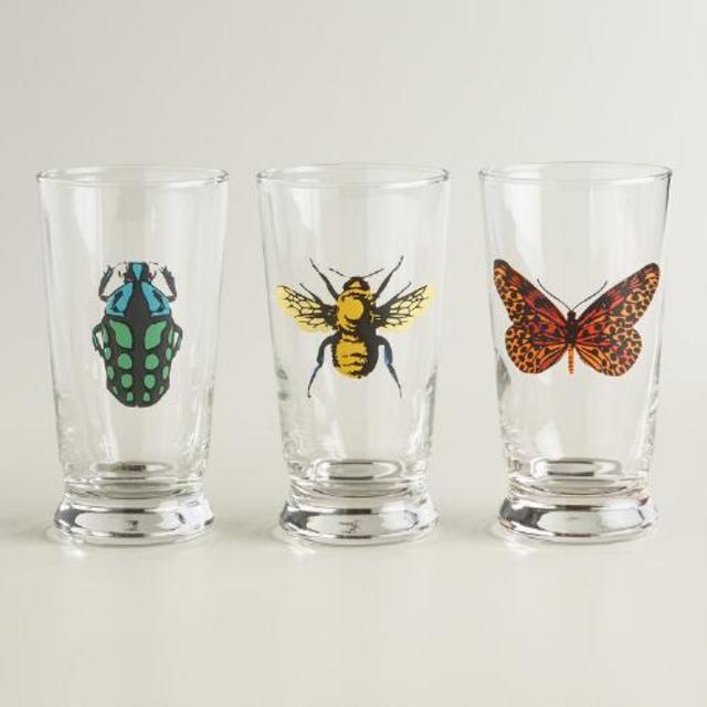 Insect Glass Tumblers, Set of 3