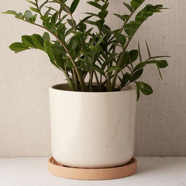 Parker 10" Planter + Drainage Tray Set