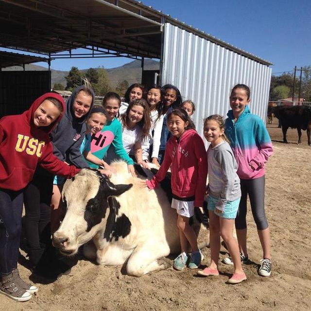 Donation: The Gentle Barn