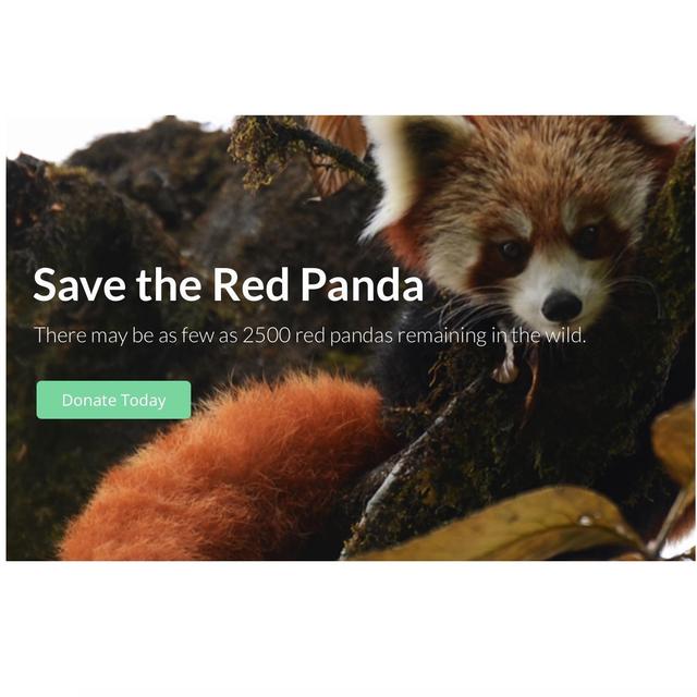 Red Panda Network