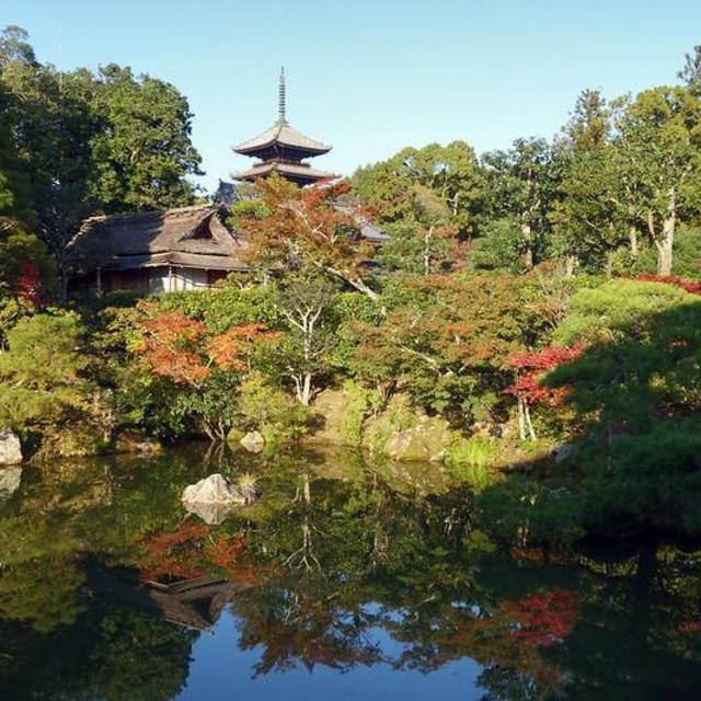 2 Night Stay in Romantic Onsen in Kyoto
