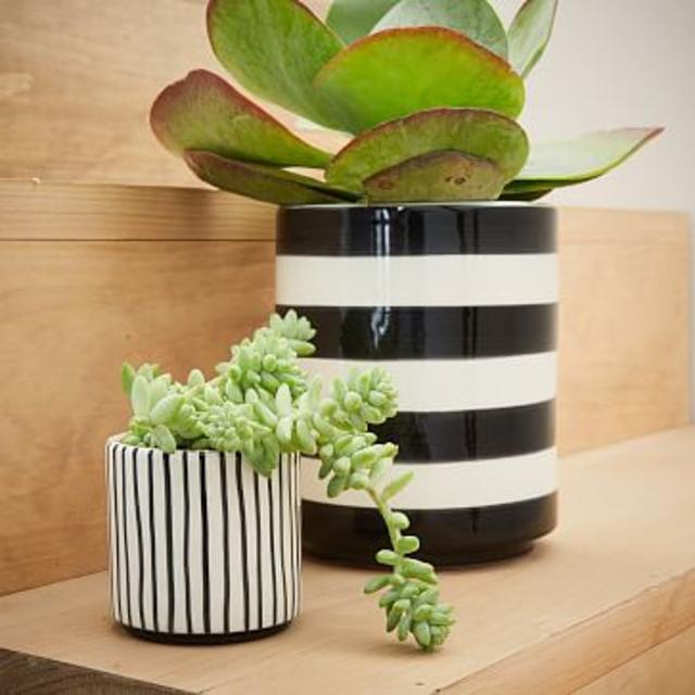 Striped Cache Pots