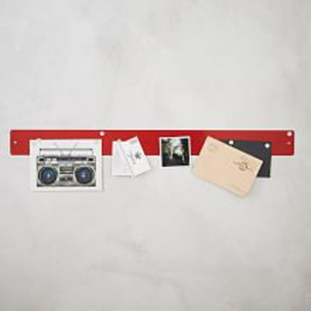 Pad Printed Bowls - Sea Life