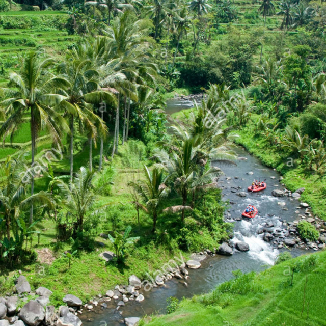 Whitewater Rafting - Ubud