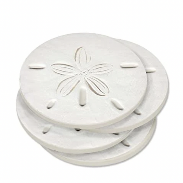 White Sand Dollar Coaster