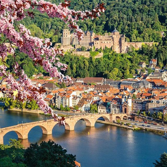 European Honeymoon