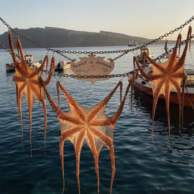 Dinner at Sunset Ammoudi