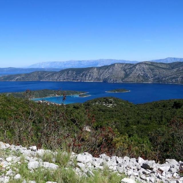 Scenic tour during honeymoon