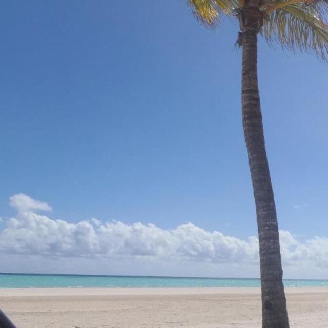 Our Hawaiian Adventure
