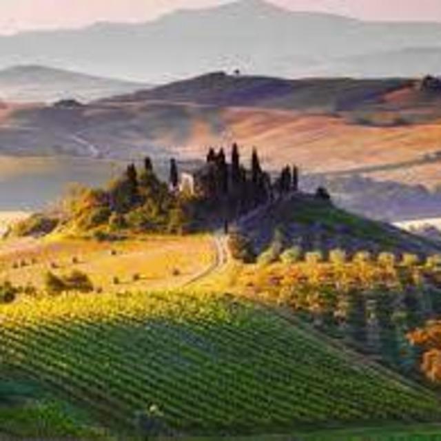 Wine Tour in Tuscany (Honeymoon)