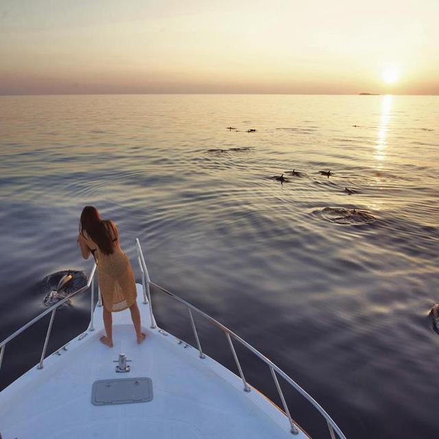 Sunset Dolphin Cruise in Maldives