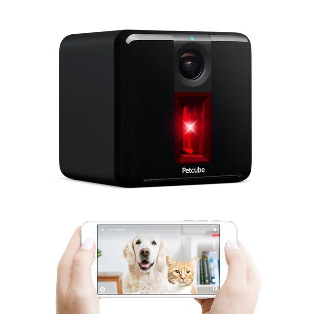 Petcube Play Pet Camera with Interactive Laser Toy. Monitor Your Pet Remotely with HD 1080p Video, Two-Way Audio, Night Vision, Sound and Motion Alerts. for Dog and Cats. Works with Alexa.