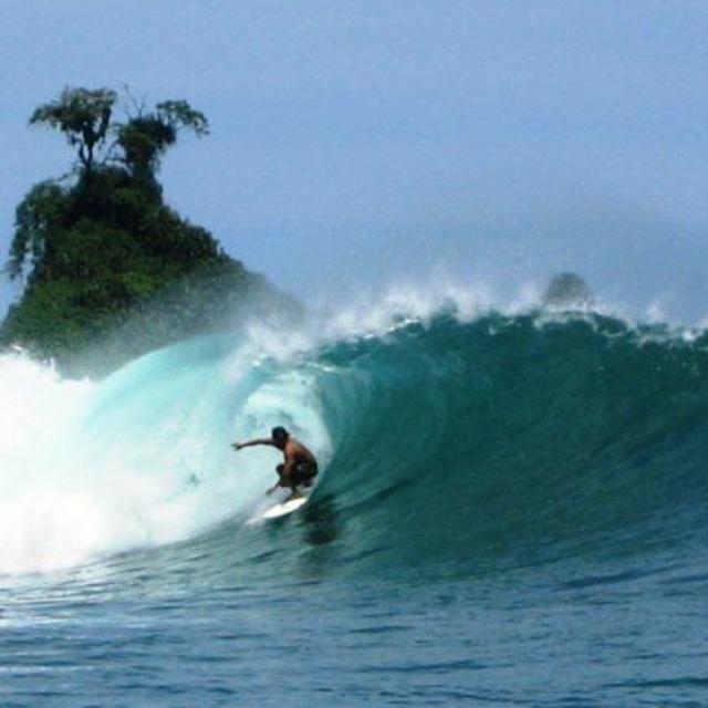 Surfing lessons