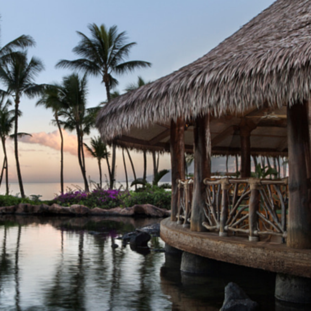 Hawaii Honeymoon Fund!!!