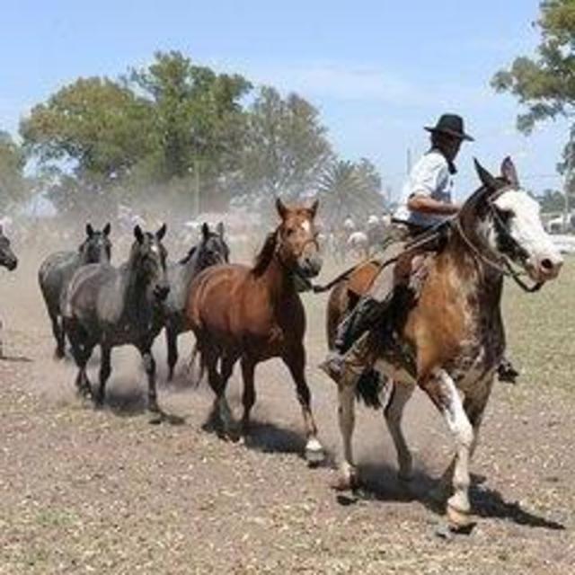 A Day with a Gaucho (Argentine Cowboy) on our Honeymoon