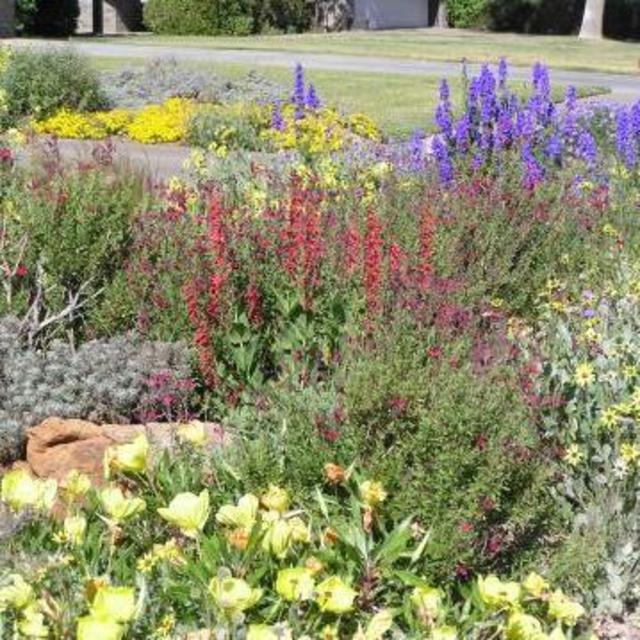 HOME: Plants for the Front Garden