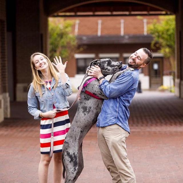 Year's Supply Of Pet Treats