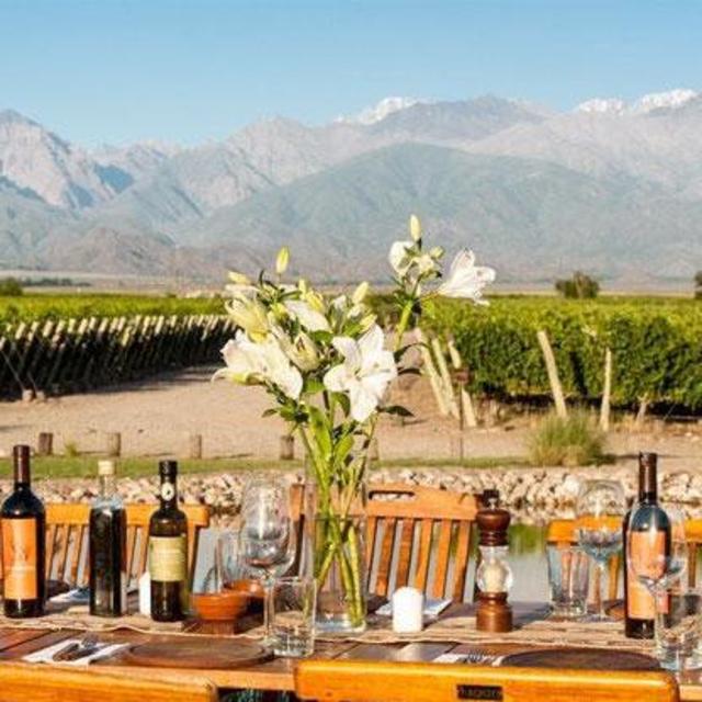 Honeymoon Experience: Wine Tour for 2 in Mendoza, Argentina