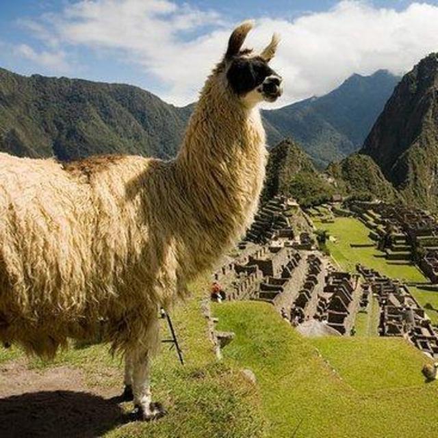 Sunrise at Machu Picchu Private Guiding