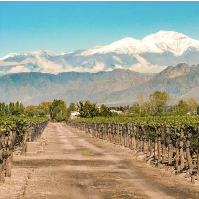 Wine Tour - Mendoza, Argentina