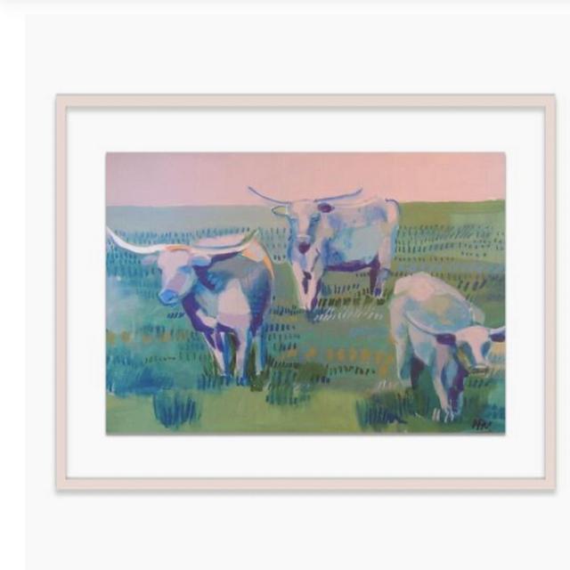 Hayley Mitchell, Longhorns