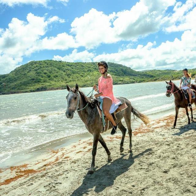 Honeymoon - Horseback Riding