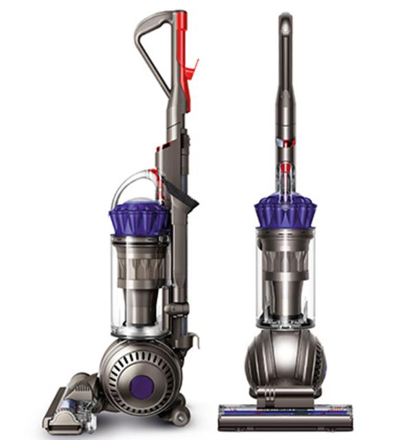 Dyson Ball Animal