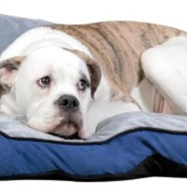 K&H Bolster Couch Pet Bed