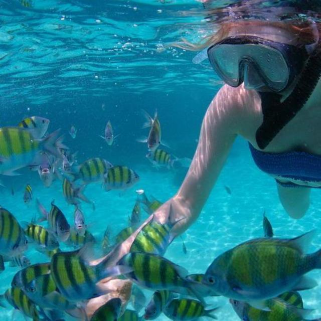 Snorkeling in Cabo San Lucas