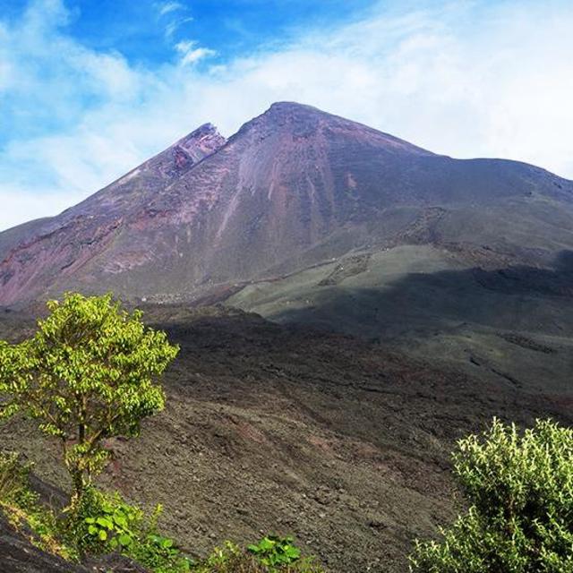 Hiking Pacaya Volcano in Guatemala