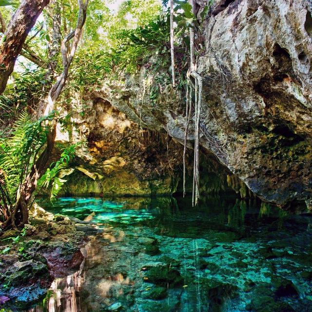 Tulum's Cenotes Excursion