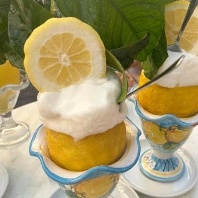 Famous AMALFI COAST LEMON Sorbet Venmo