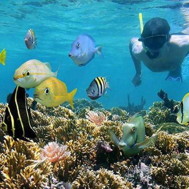 Shore Snorkel and Tequila Tasting Tour in Cozumel, Mexico