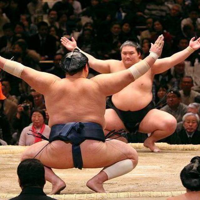 Fun Activities in Japan Fund