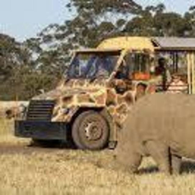 Honeymoon Tickets to the Weribee Zoo