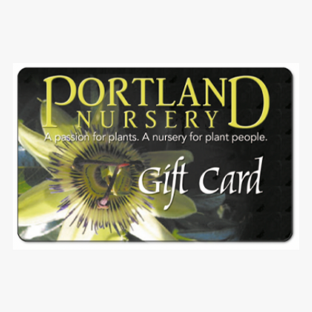 Peter Guren and Alexandra Gravley's Wedding Registry on Zola