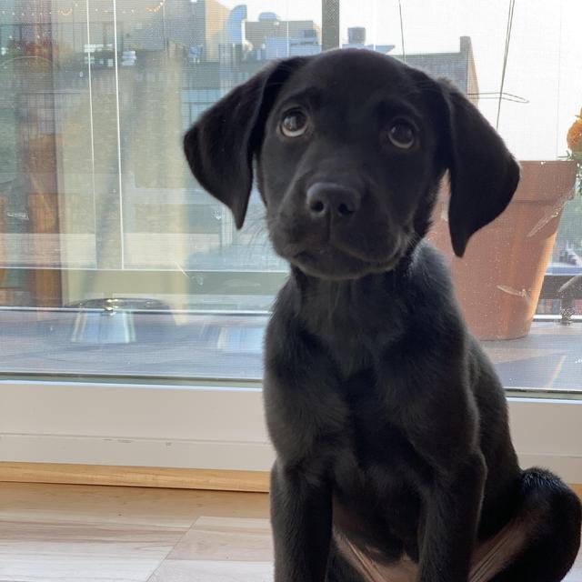 Murph's College Fund