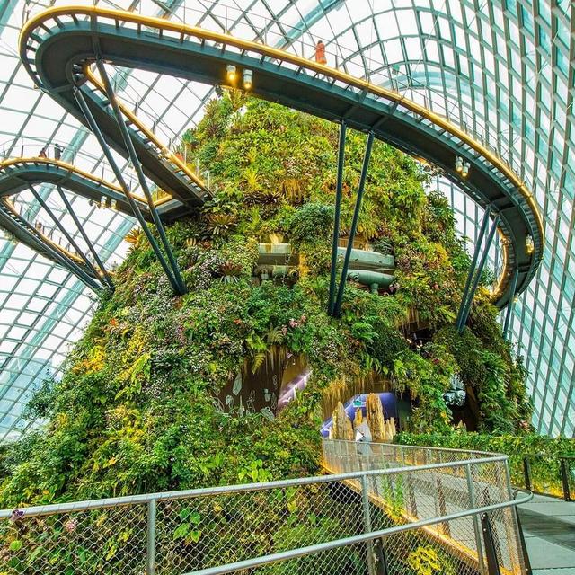 Cloud Forest and Gardens in Singapore