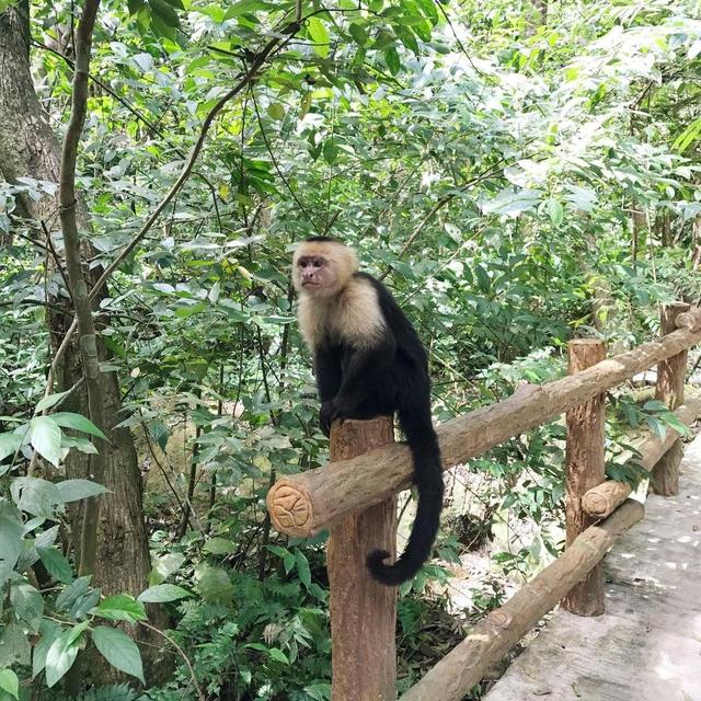 Gumbalimba Park - Honduras Port