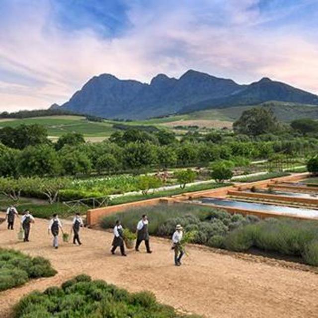 Wine Tasting at Bablestoren in Franschhoek