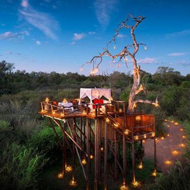 1 Night in this Crazy-Awesome Treehouse
