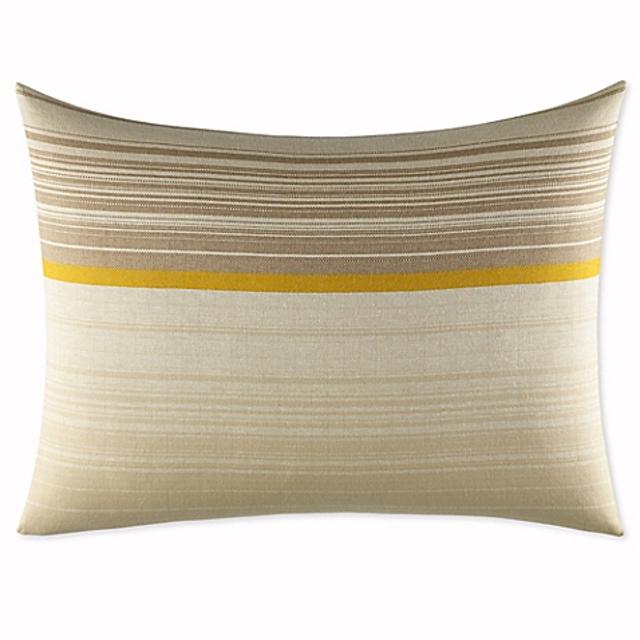 ED Ellen DeGeneres Toluca King Pillow Sham in Light Brown