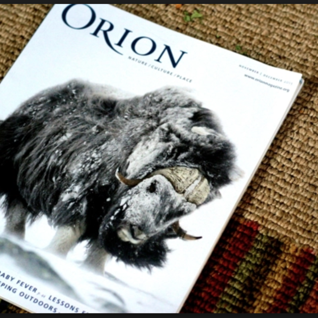 Orion Magazine Subscription