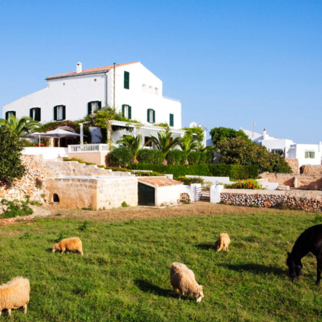 One Night at a Farmhouse in the Center of Menorca