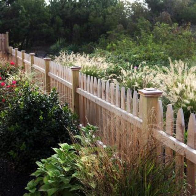 Landscaping & Sprinkler System