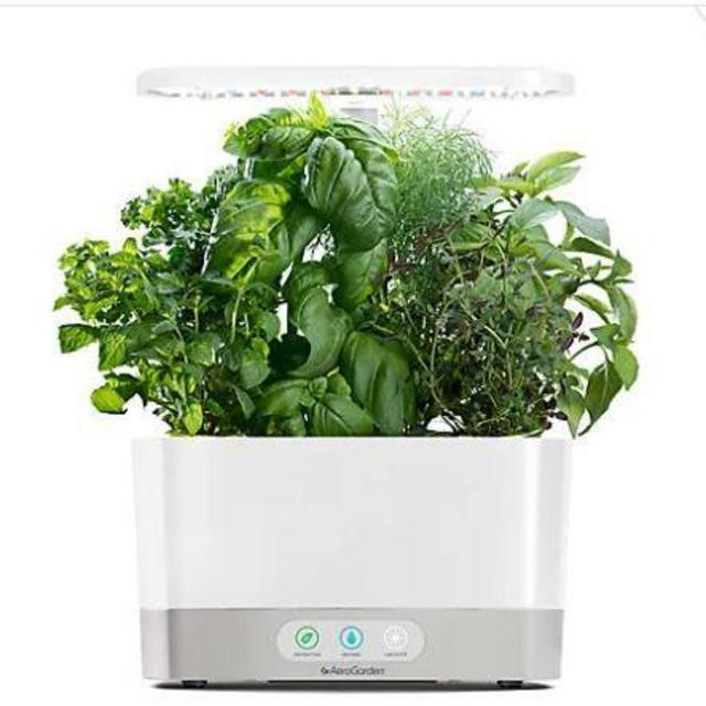 AeroGarden™ Harvest with Gourmet Herb Seed Pod Kit