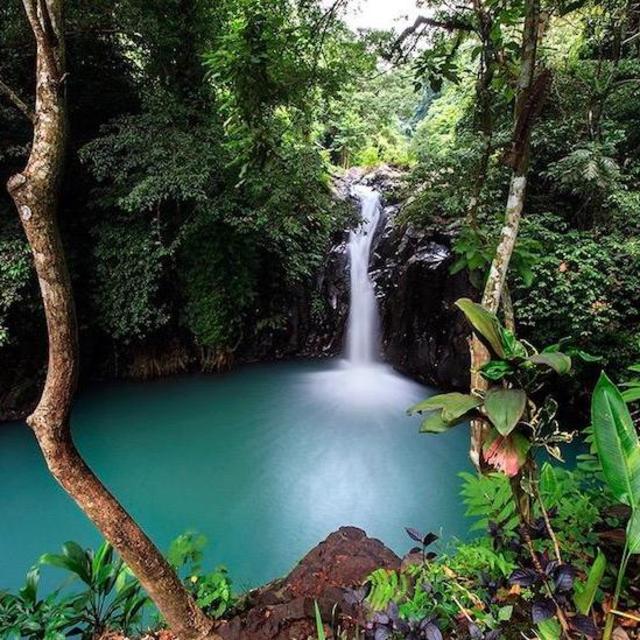 Cayoneering & Waterfall Jumping Excursion