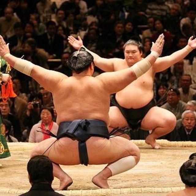 Sumo Wrestling in Nagoya